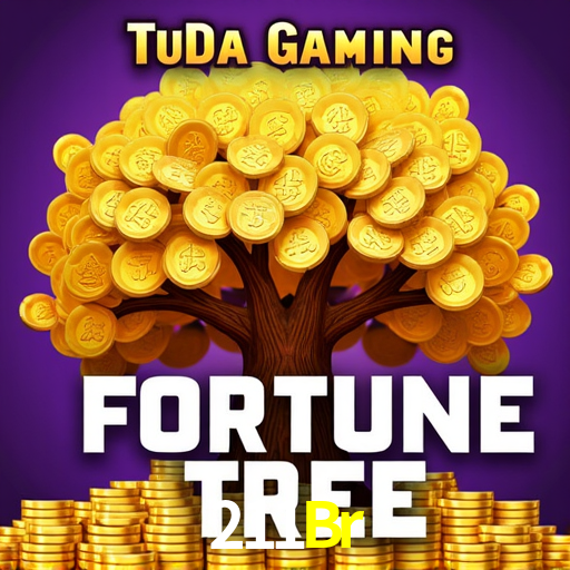 211Br.Com